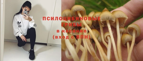 ПСИЛОЦИБИНОВЫЕ ГРИБЫ Аркадак