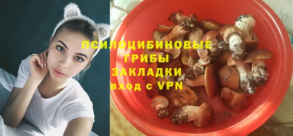 ПСИЛОЦИБИНОВЫЕ ГРИБЫ Аркадак
