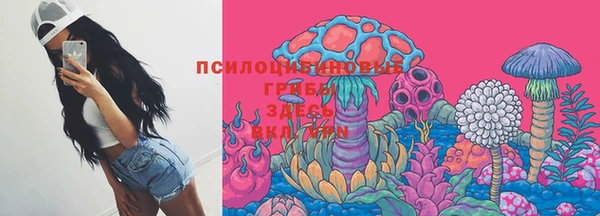 герыч Арсеньев