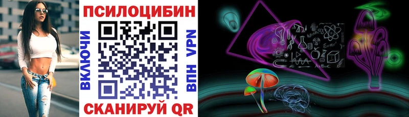 Галлюциногенные грибы мухоморы  купить наркотик  Звенигово 